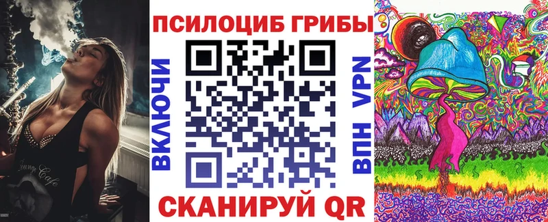 kraken онион Тбилисская Псилоцибиновые грибы мухоморы где продают
